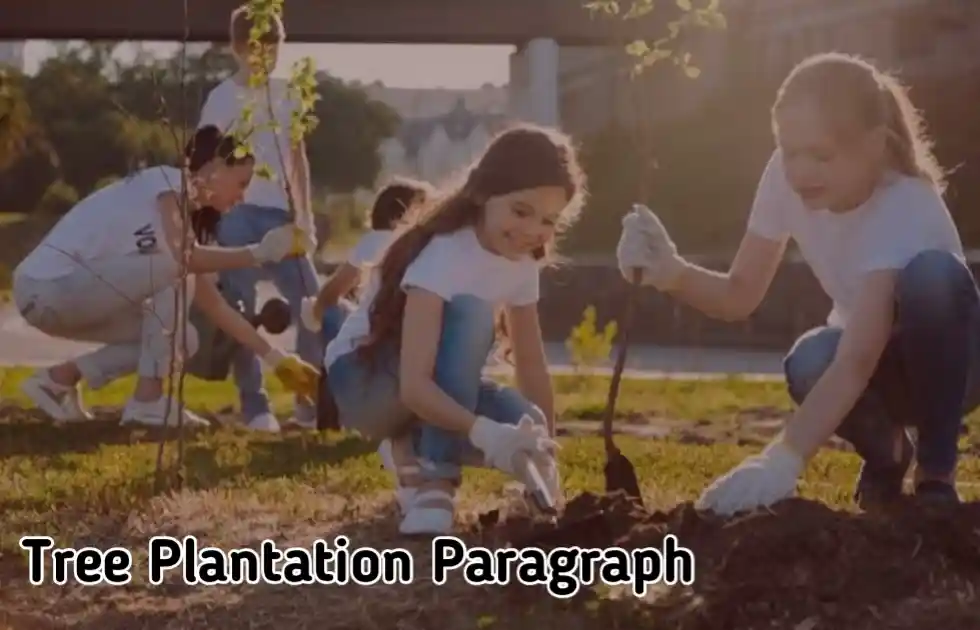Ultimate Tree Plantation Paragraph  for Students of All Classes  Easy to Memorise